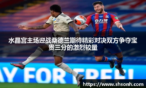 水晶宫主场迎战桑德兰期待精彩对决双方争夺宝贵三分的激烈较量